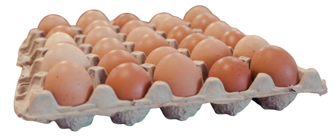 Carton filled with brown farm eggs arranged in rows